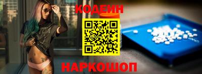 стафф Кингисепп
