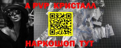 стафф Кингисепп