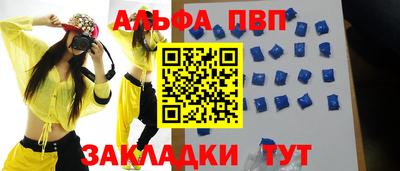 стафф Кингисепп