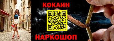 стафф Кингисепп
