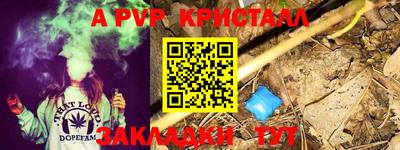 стафф Кингисепп