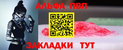 стафф Кингисепп