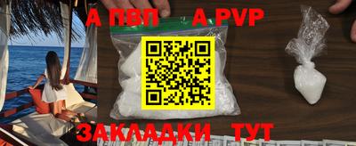 стафф Кингисепп