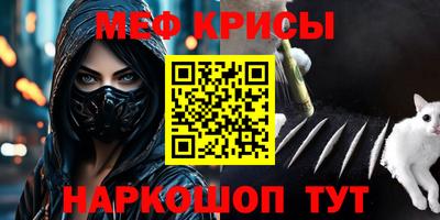 стафф Кингисепп