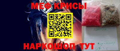 стафф Кингисепп